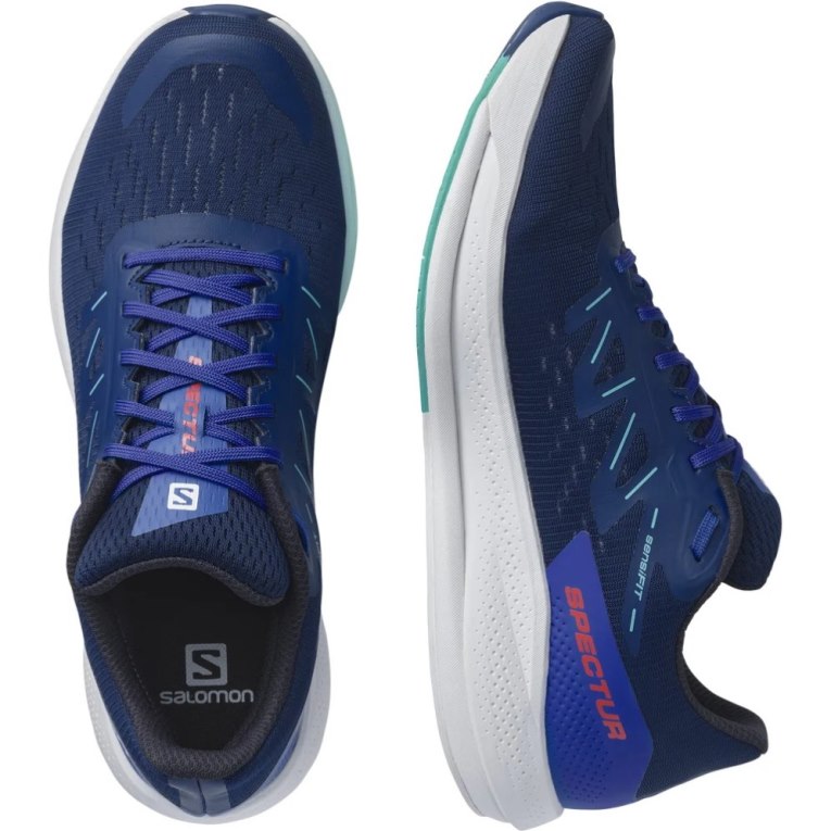 Blue Salomon Spectur Men's Running Shoes | IE TF1607